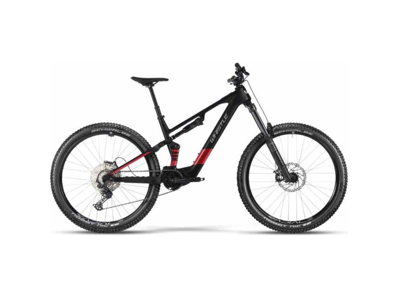 WHISTLE AXR C6.6